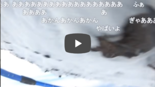 動画 富士山 滑落 [B!] 富士山滑落ニコ生主の滑落動画見てきたんやが・・・
